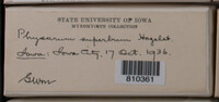 Image Associated With the Occurence